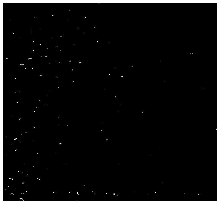 Nano metal ceramic electrodeposited composite coating at inner hole wall of oil drill pipe and preparation method thereof