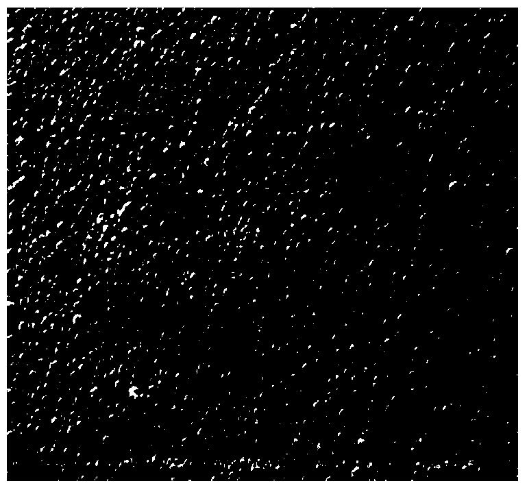 Nano metal ceramic electrodeposited composite coating at inner hole wall of oil drill pipe and preparation method thereof