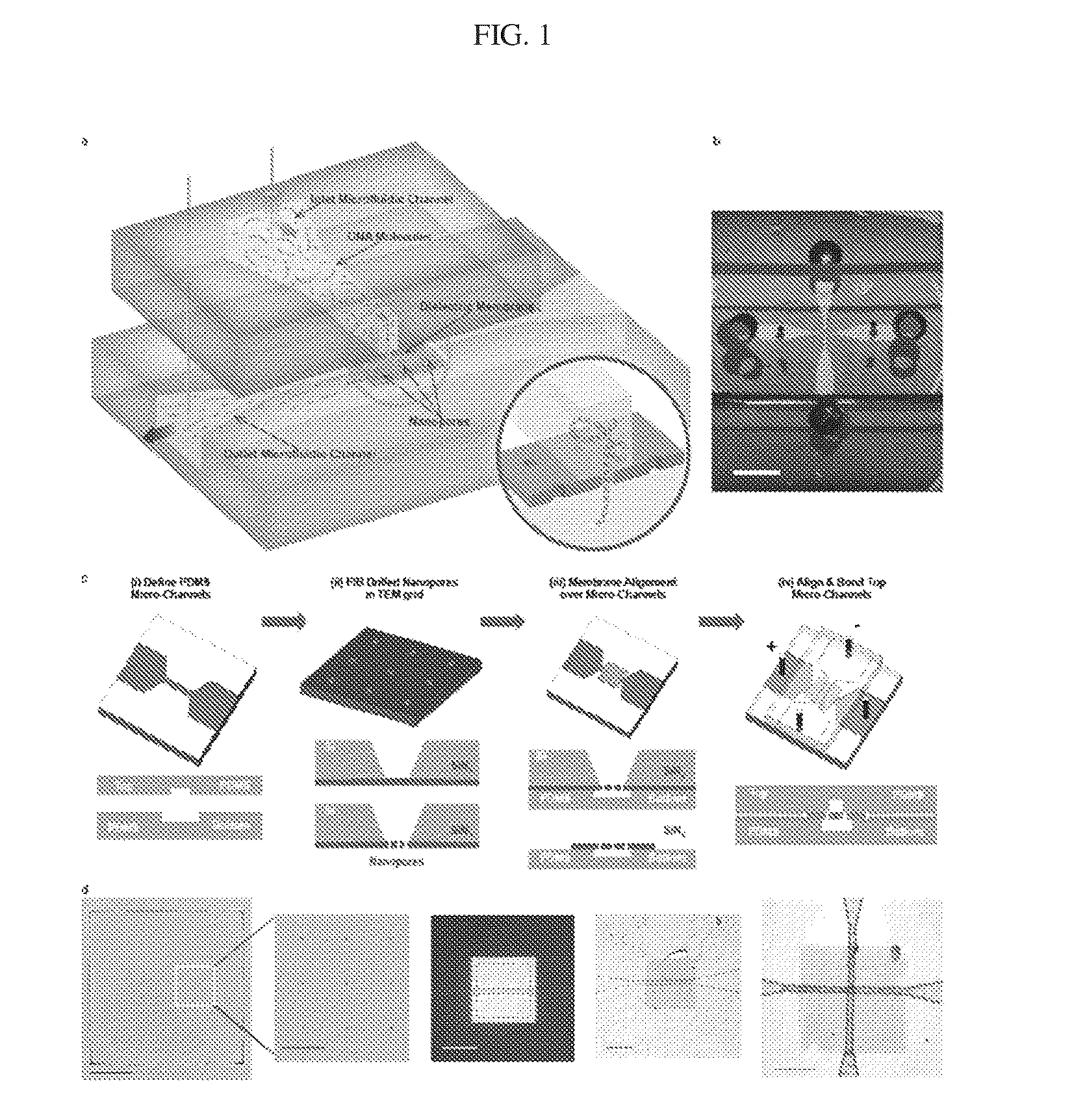 Nanofluidic sorting system for gene synthesis and PCR reaction products