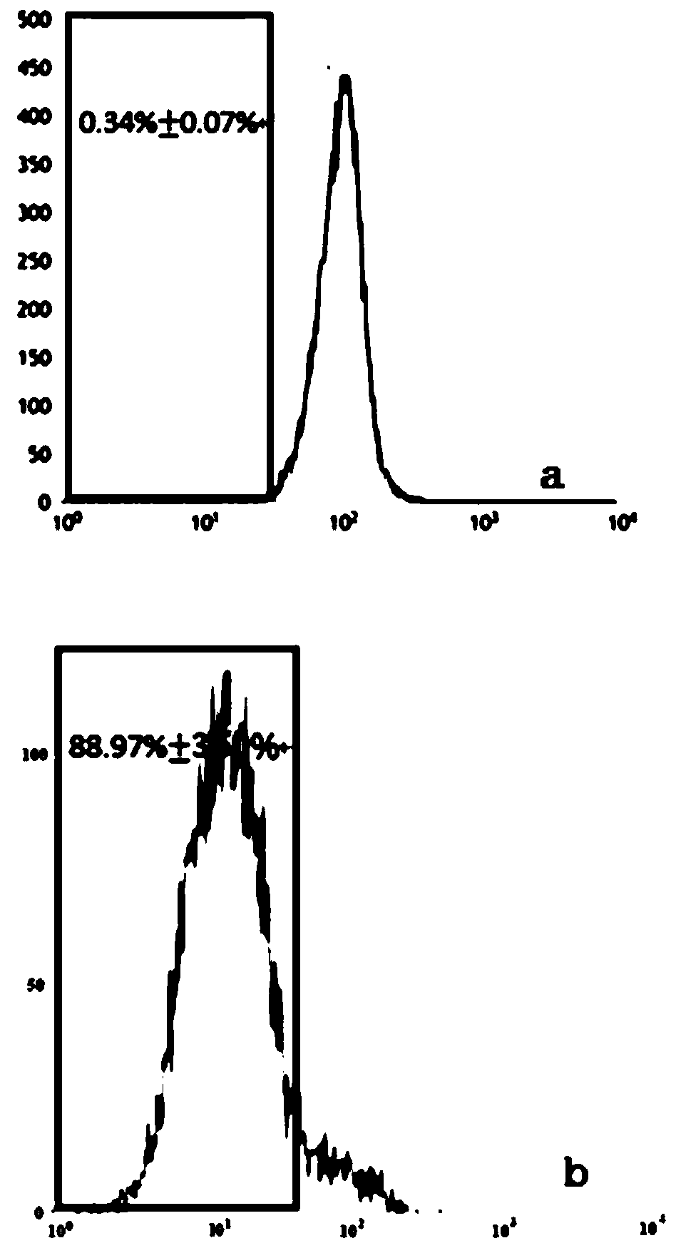 Human mantle cell lymphoma malignant clone cell strain and construction method and application thereof