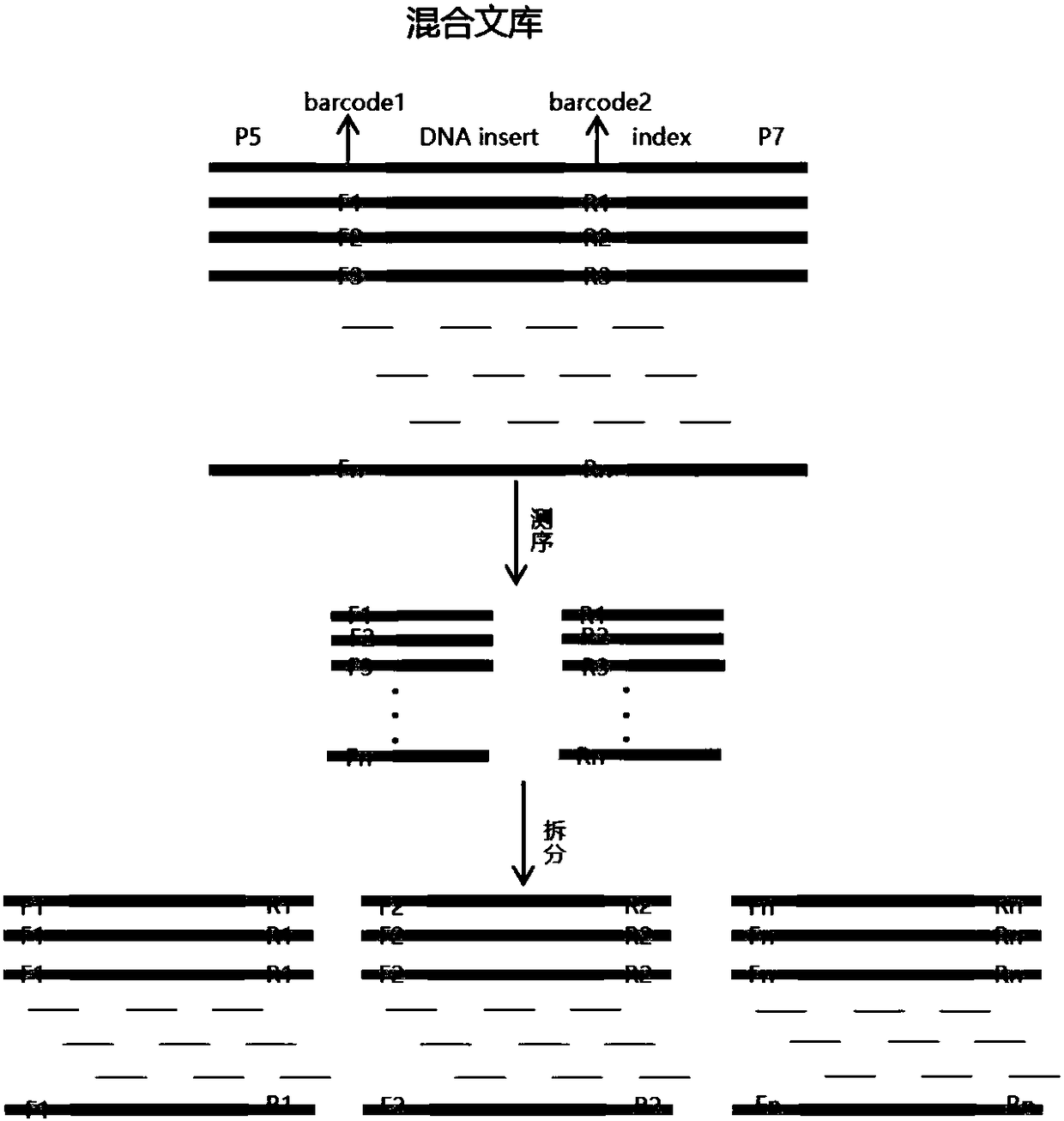 Method and system for determining colorectal tumor cells on basis of KRAS and NDRG4 genes