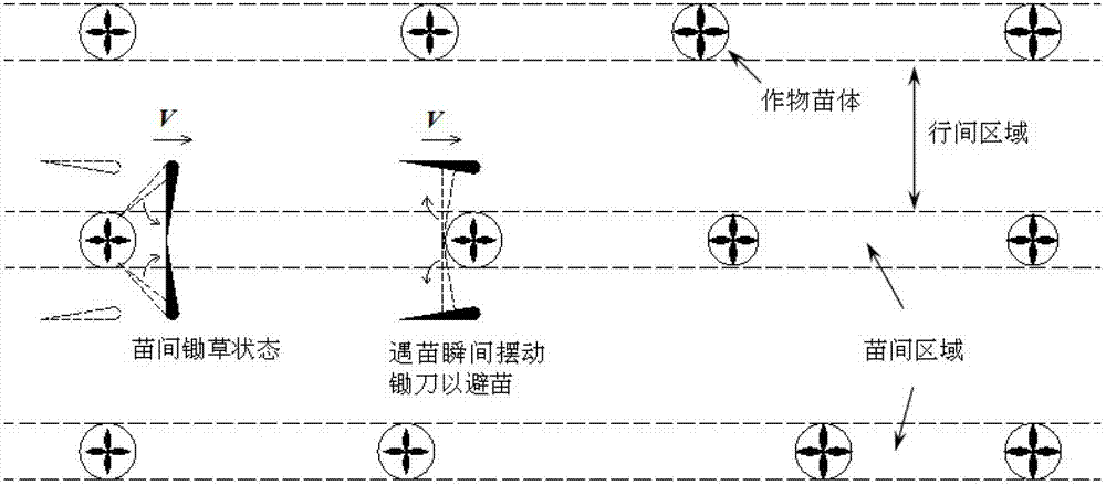 Swinging type intelligent inter-seedling hoeing machine and tool unit