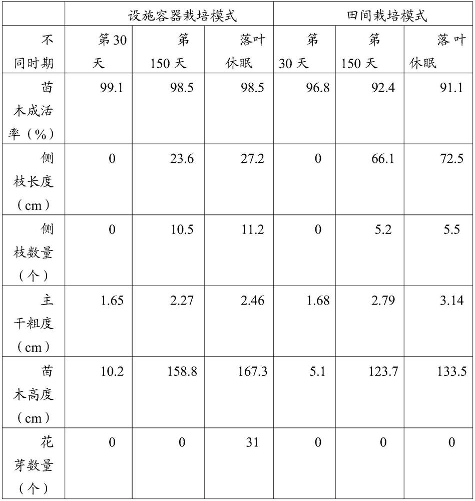 Management method for high-density early-yield cultivation of cherries in facility cultivation