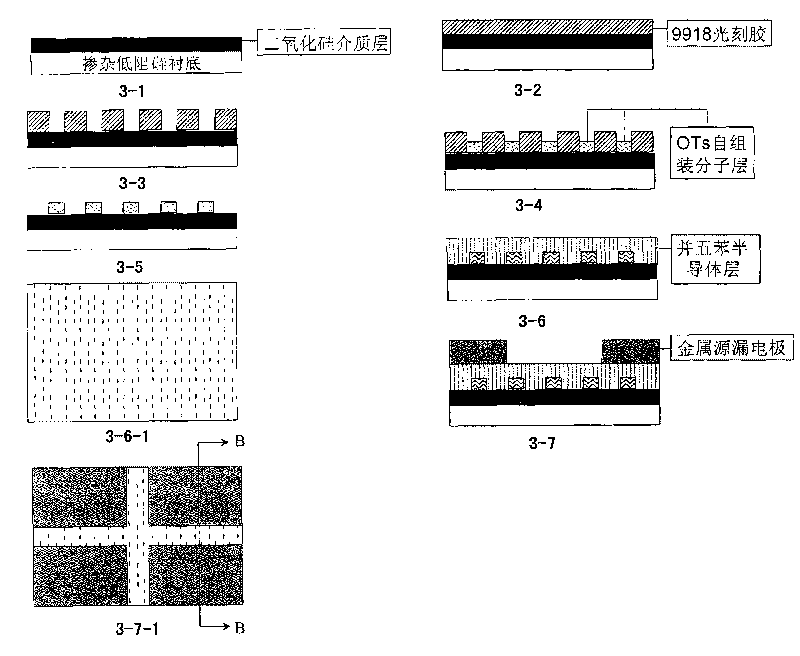 Substrate modification-based method for preparing anisotropic organic field effect transistor