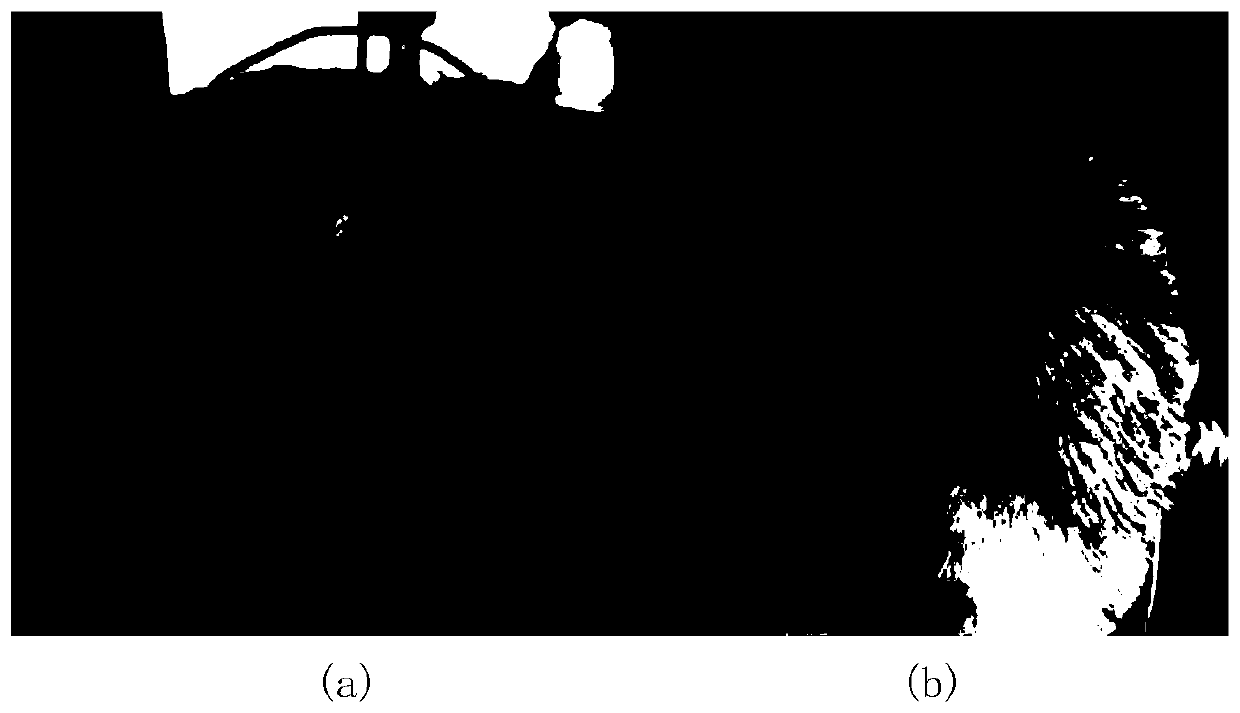 Multi-effect hair growing gel and preparation method thereof