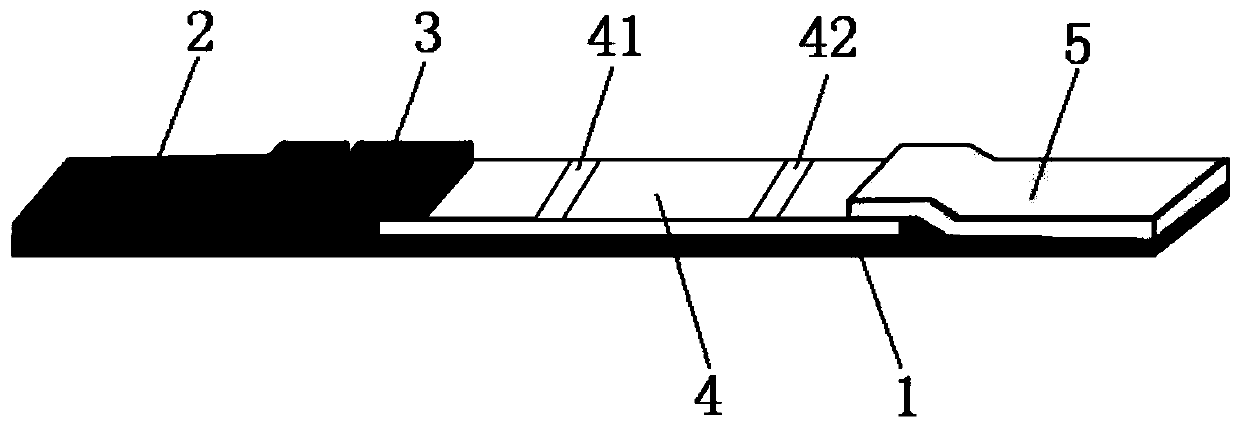 Colloidal gold test strip for detecting nervous necrosis virus of grouper and preparation method thereof