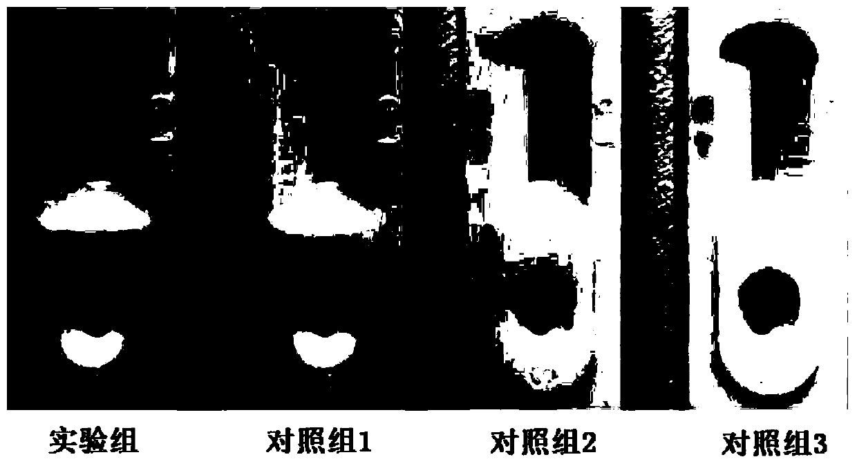 Colloidal gold test strip for detecting nervous necrosis virus of grouper and preparation method thereof