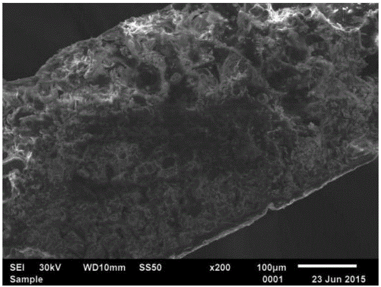 Method for preparing diatomite hollow fiber ceramic membrane