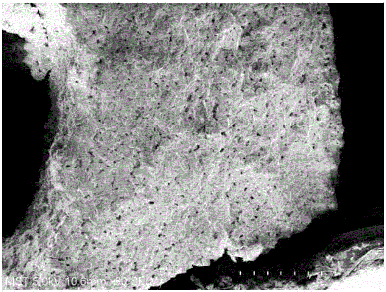 Method for preparing diatomite hollow fiber ceramic membrane