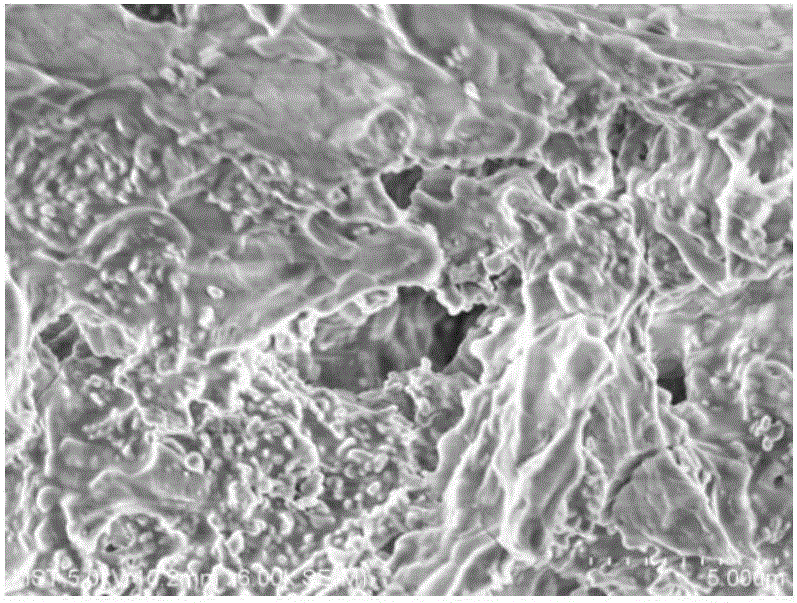 Method for preparing diatomite hollow fiber ceramic membrane