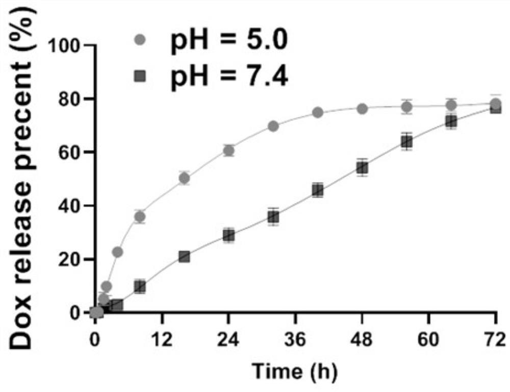 Drug-loaded nano-particles for hepatic artery chemoembolization and preparation method of drug-loaded nano-particles