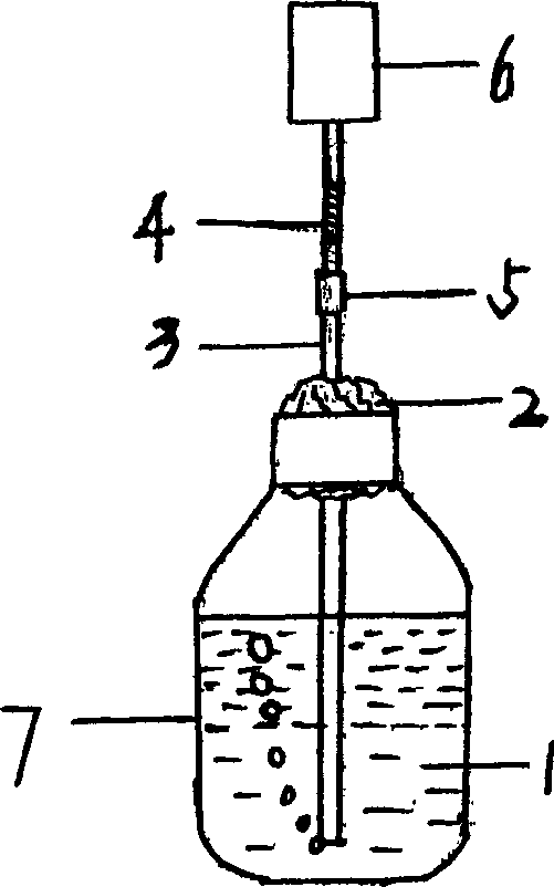 Formulation of aweto culture medium and oxygenating culture method of aweto