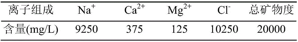 Temperature-resistant and salt-resistant oil displacing polymer containing nano particles