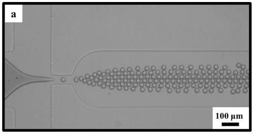 Honeycomb-shaped carbon nano tube porous microsphere, and preparation method and application thereof