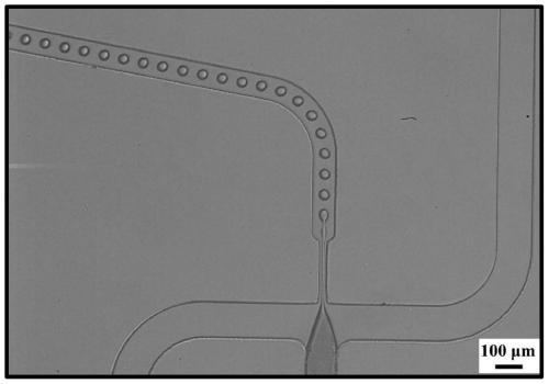 Honeycomb-shaped carbon nano tube porous microsphere, and preparation method and application thereof