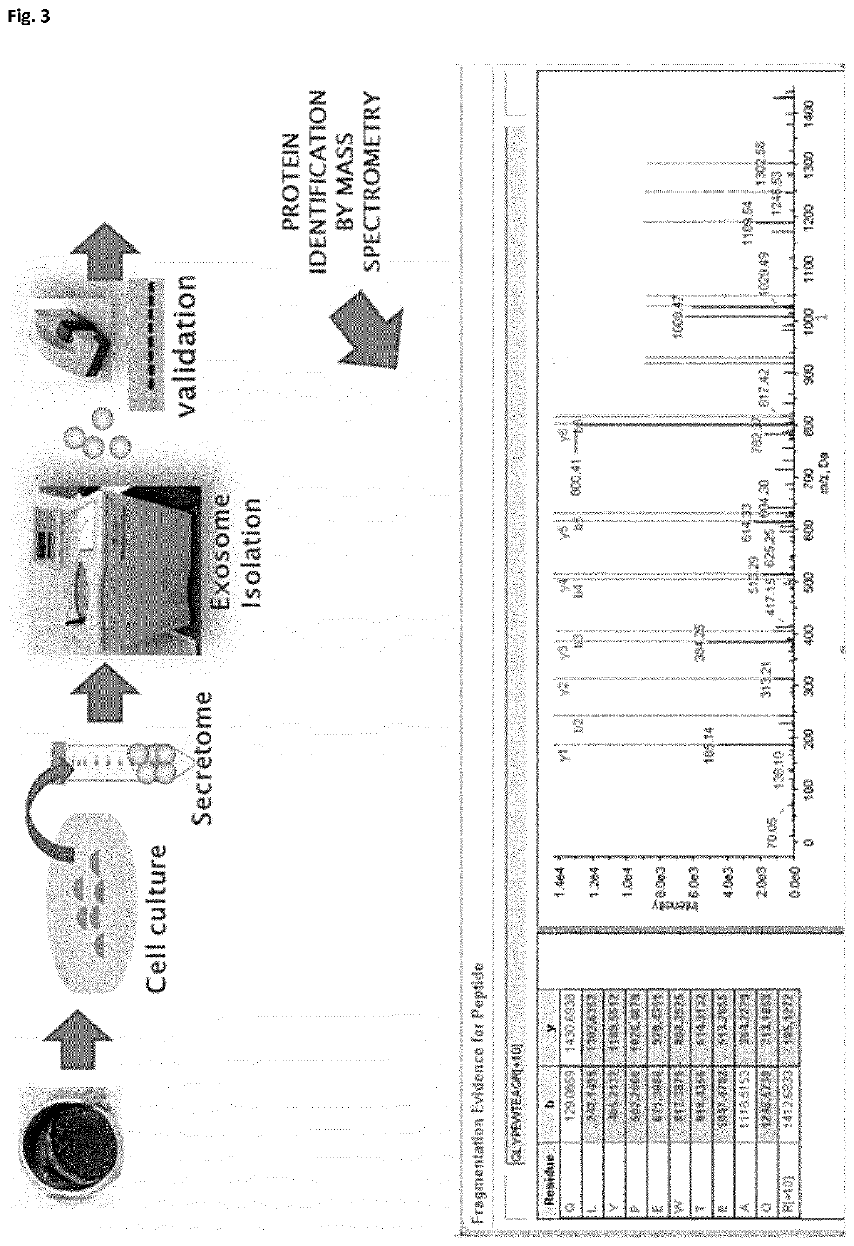 In vitro method for detecting tumor growth and diagnosing or prognosticating the risk of metastasis in a human subject that has been diagnosed with uveal melanoma