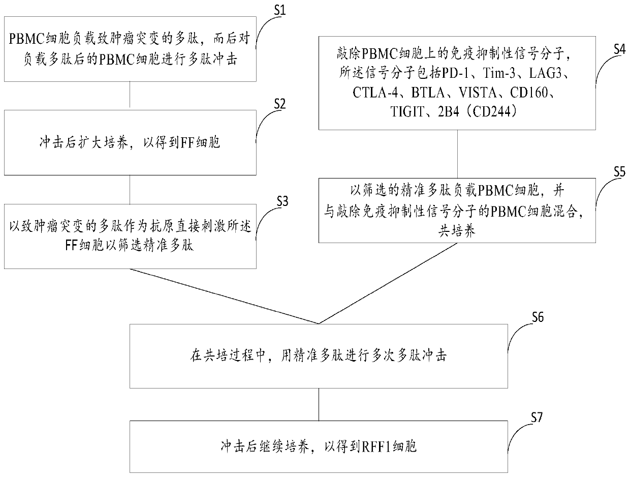 Construction method of RFF1 cells