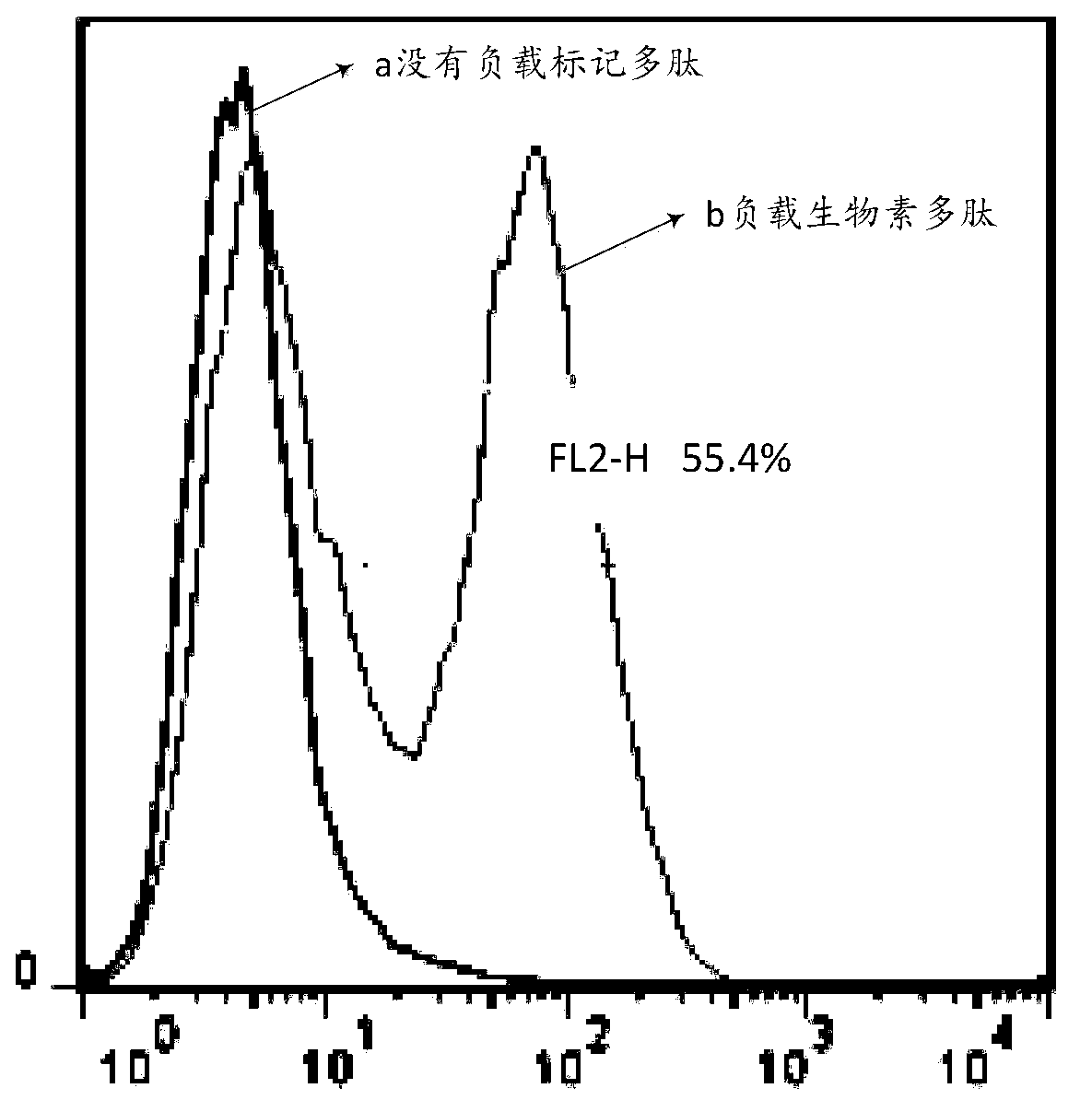 Construction method of RFF1 cells