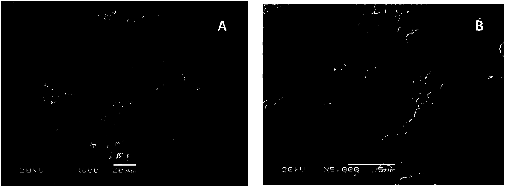 Nano gold doped integral material for enriching glycoprotein and applications thereof