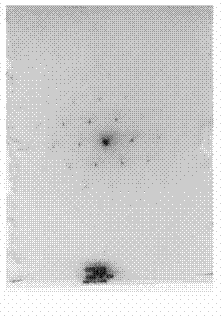 Method for preparing nano-structure single crystal silver