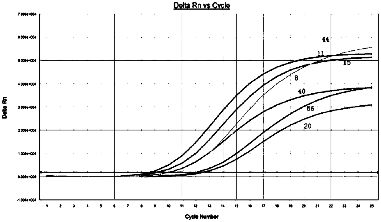 Kit for detecting excrement exfoliative cell DNA methylation state to analyze colorectal cancer