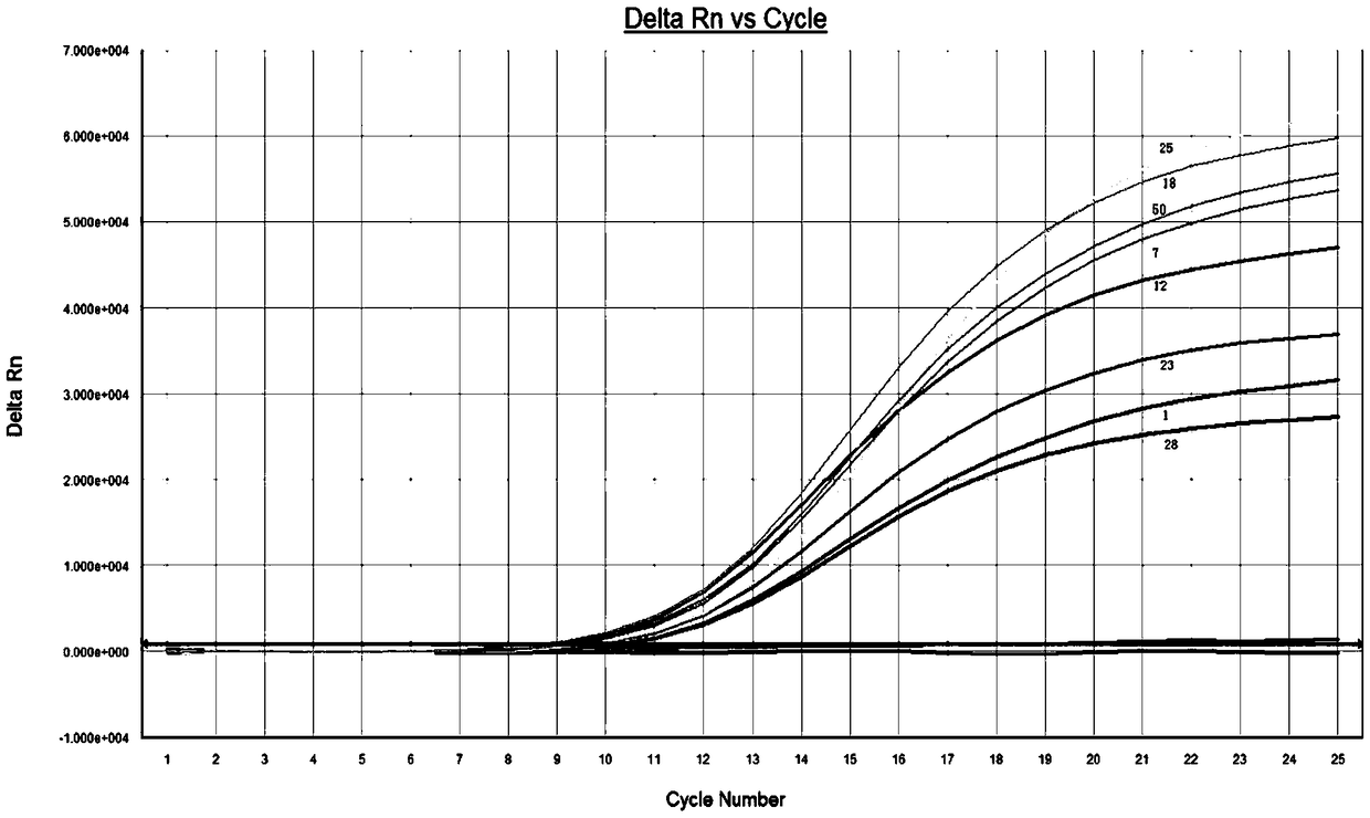 Kit for detecting excrement exfoliative cell DNA methylation state to analyze colorectal cancer