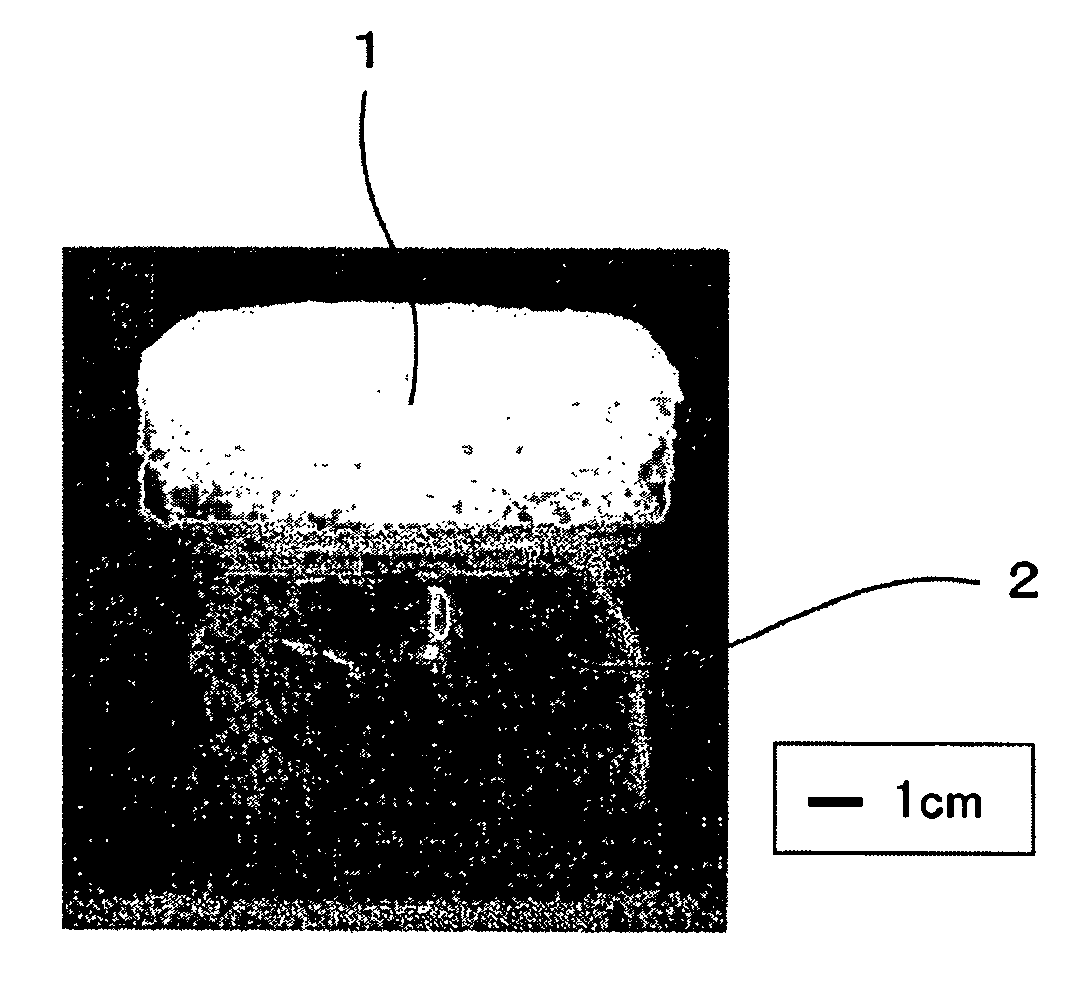 Solid composite material and production method thereof