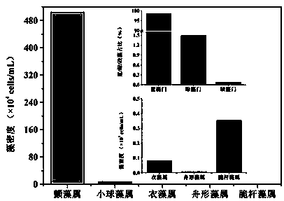 Stable culture method for simulating algal blooms indoors