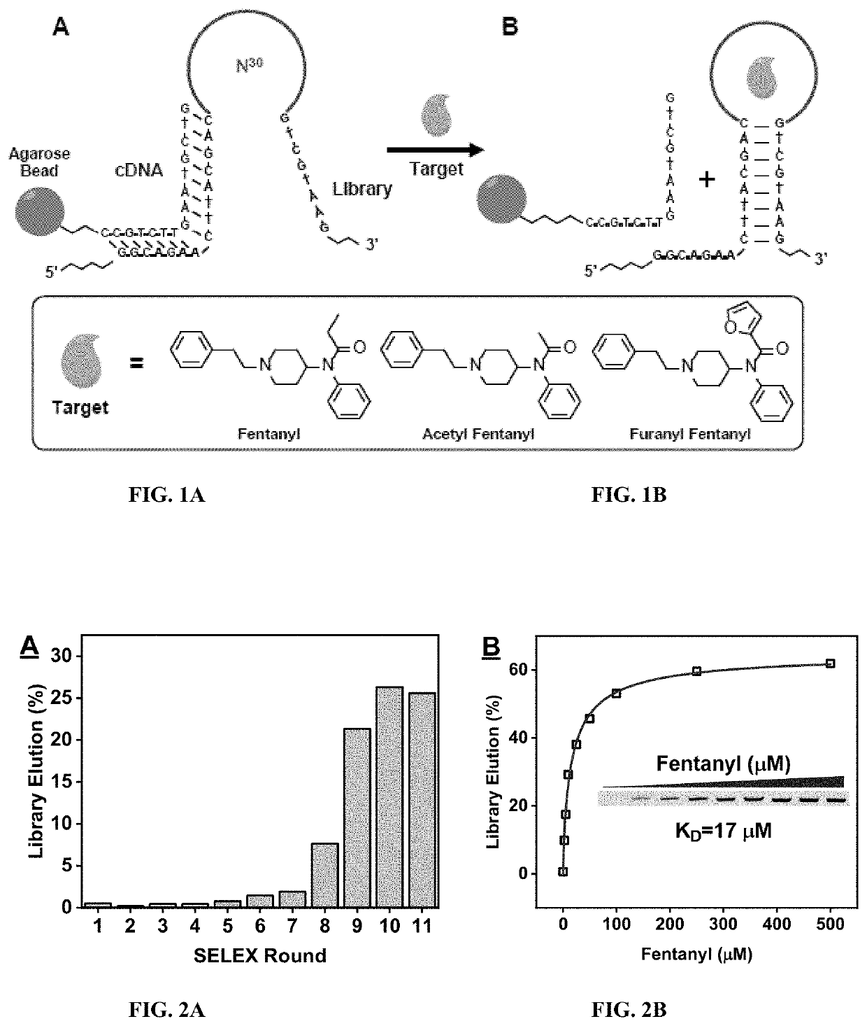 Aptamer-based sensors for detection of fentanyl opioids