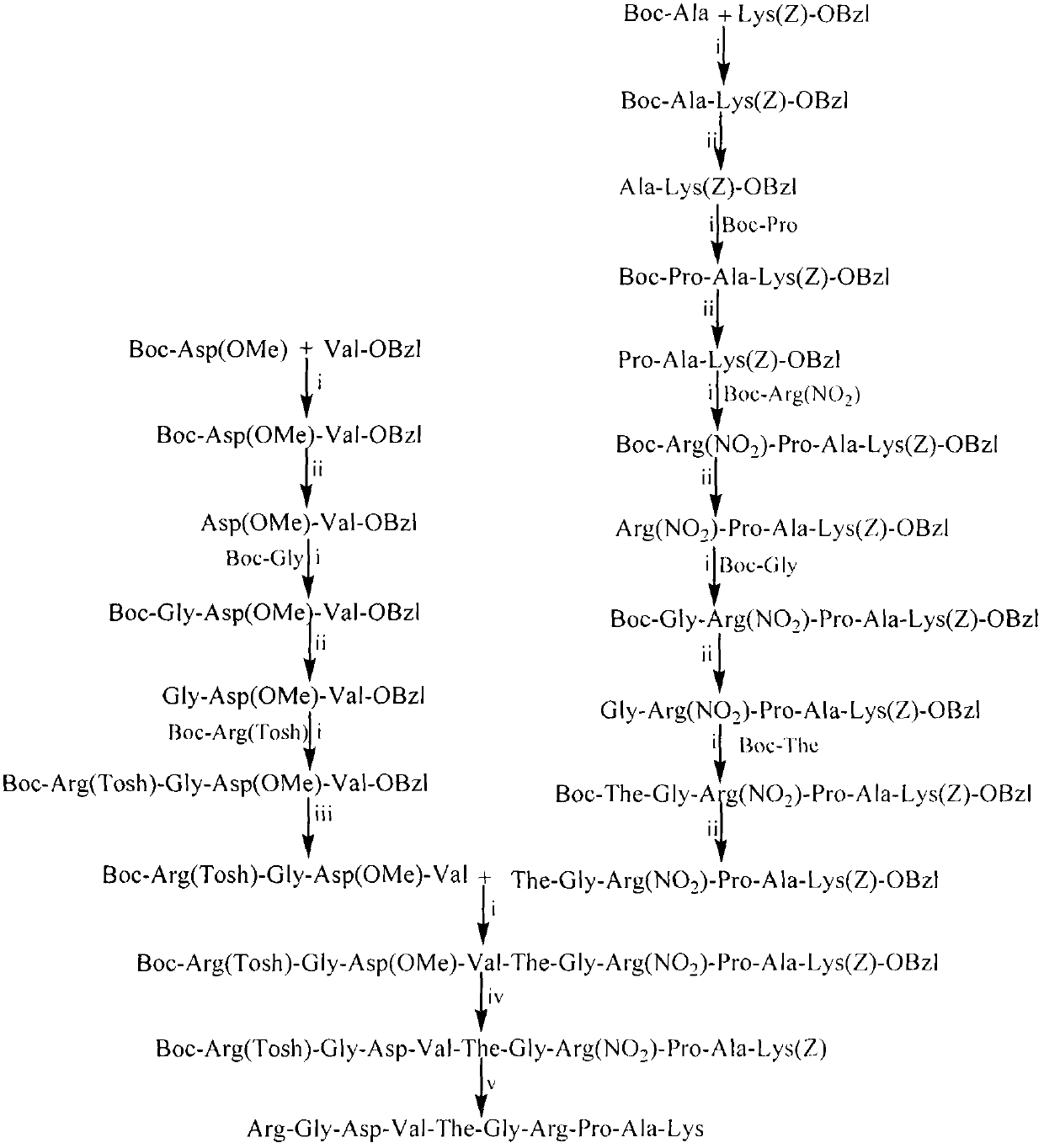 rgdv-the-grpak decapeptide, its preparation, activity and application