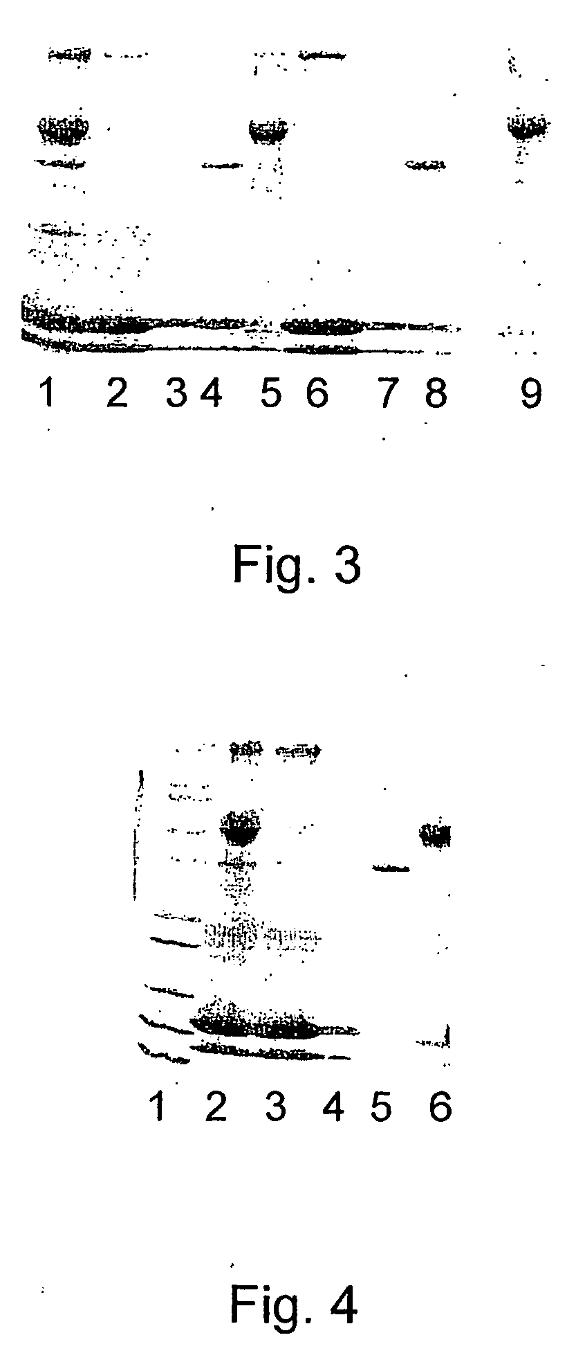 Process of isolating lactoferrin