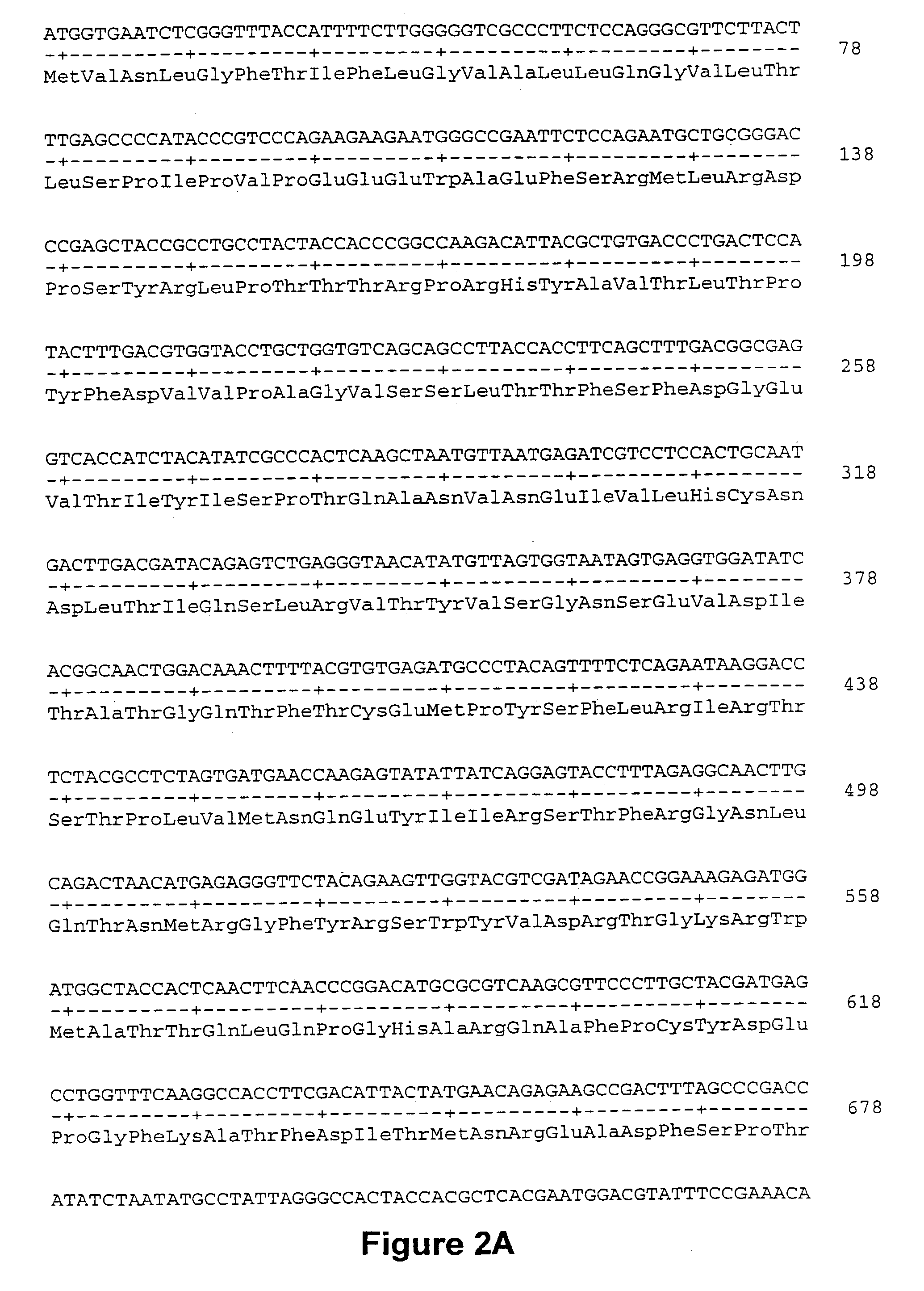 Methods and materials for identifying novel pesticide agents