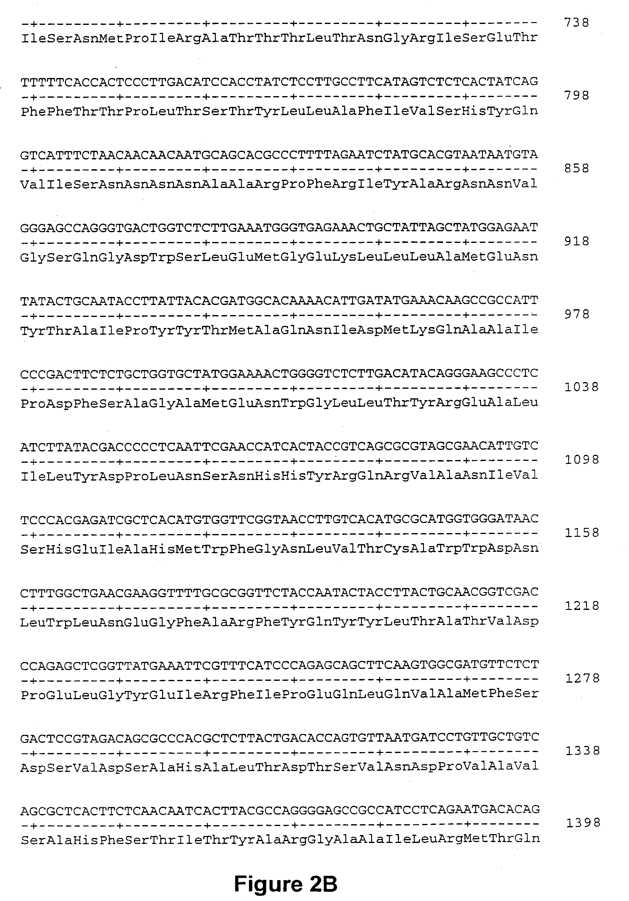 Methods and materials for identifying novel pesticide agents