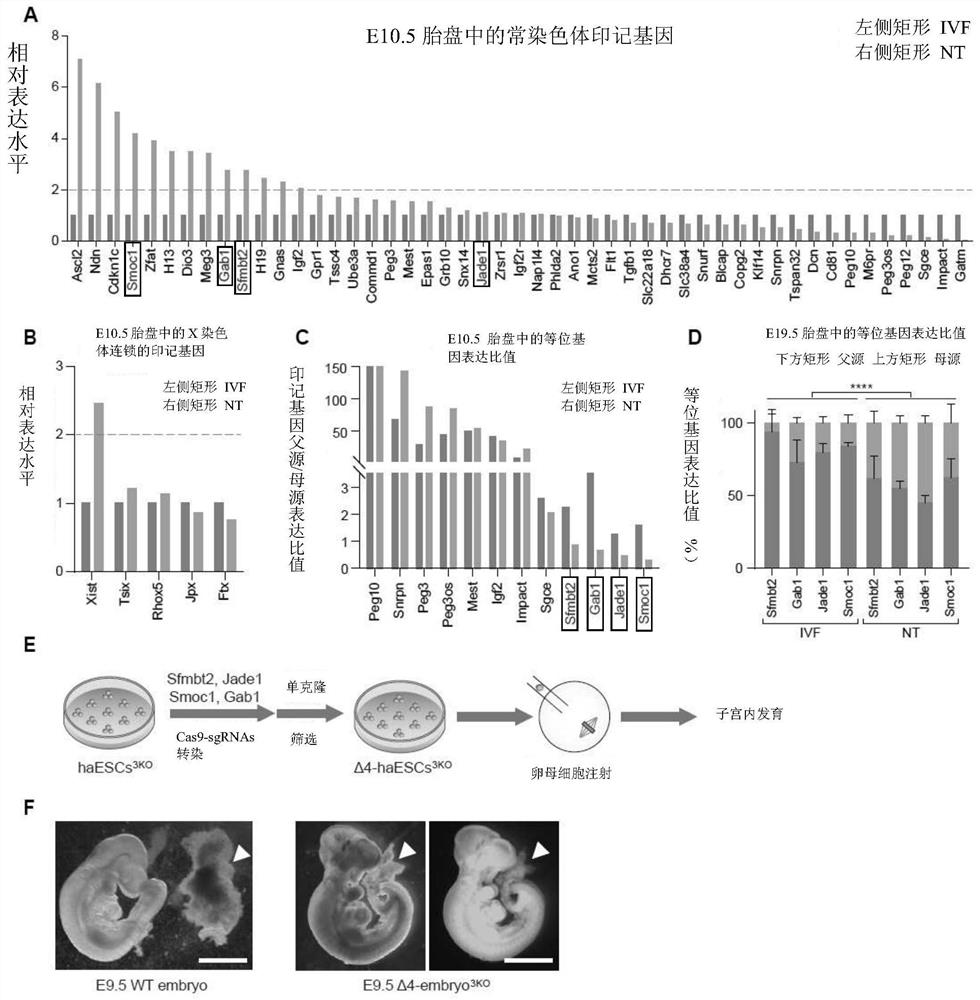 Somatic cell nuclear transplantation method and application thereof