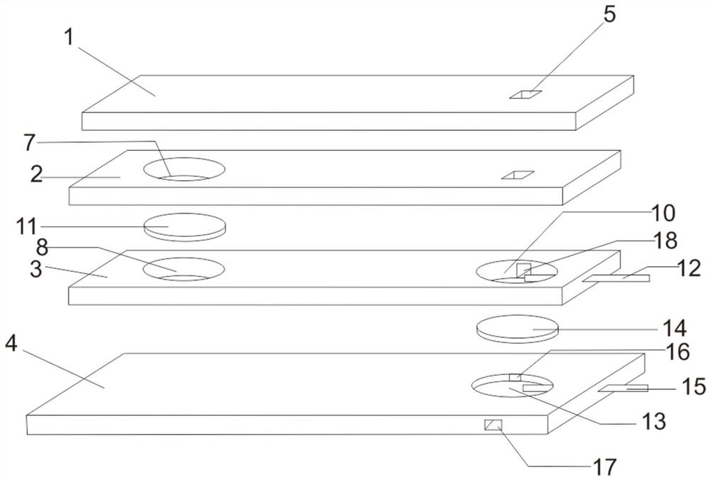 Microbiological detection device and microbiological detection method