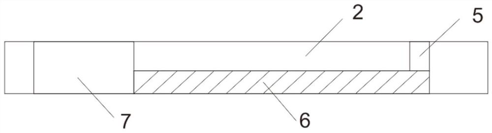 Microbiological detection device and microbiological detection method