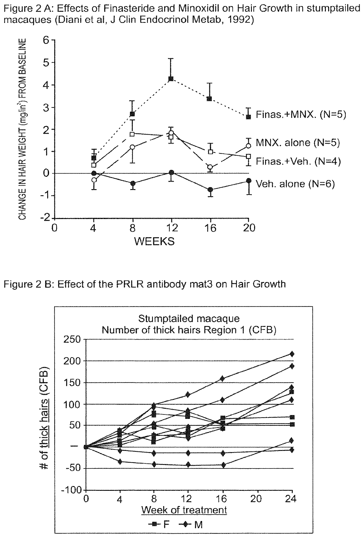 Prolactin receptor antibody for male and female pattern hair loss