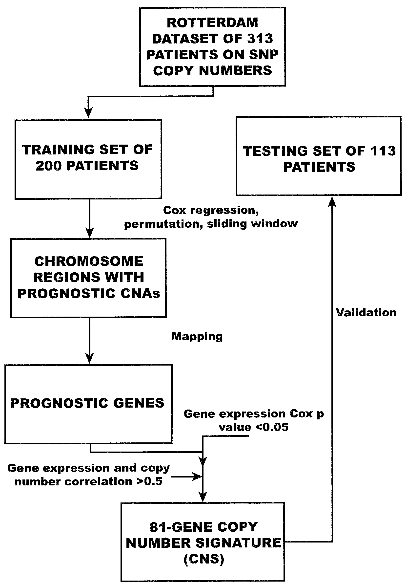 Copy number alterations that predict metastatic capability of human breast cancer