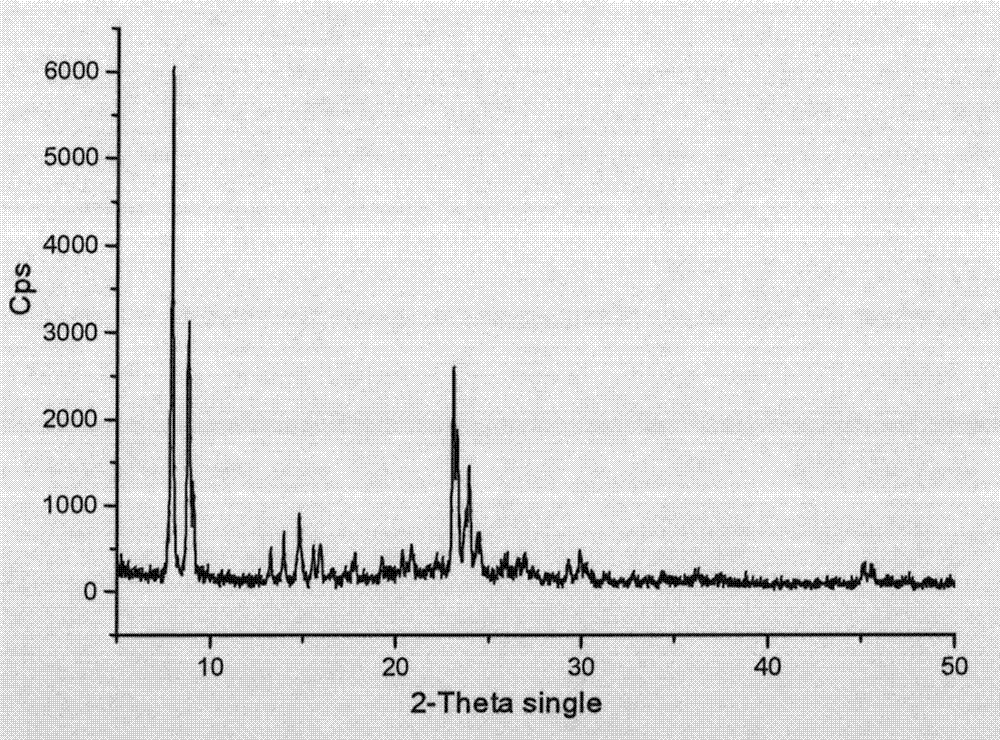 Adhesive-free zeolite catalyst and preparation method thereof