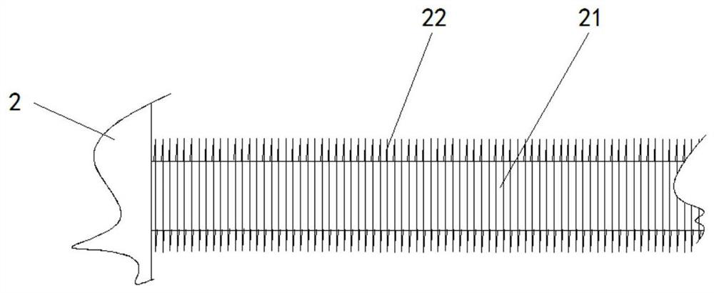 Pulling and straightening device for stainless steel cold-rolled sheet