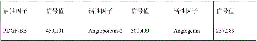 Biofilm capable of rapidly recovering skin wound surface, and preparation method thereof