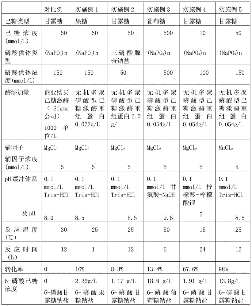 Method for synthesizing 6-hexose phosphate by employing enzymic method