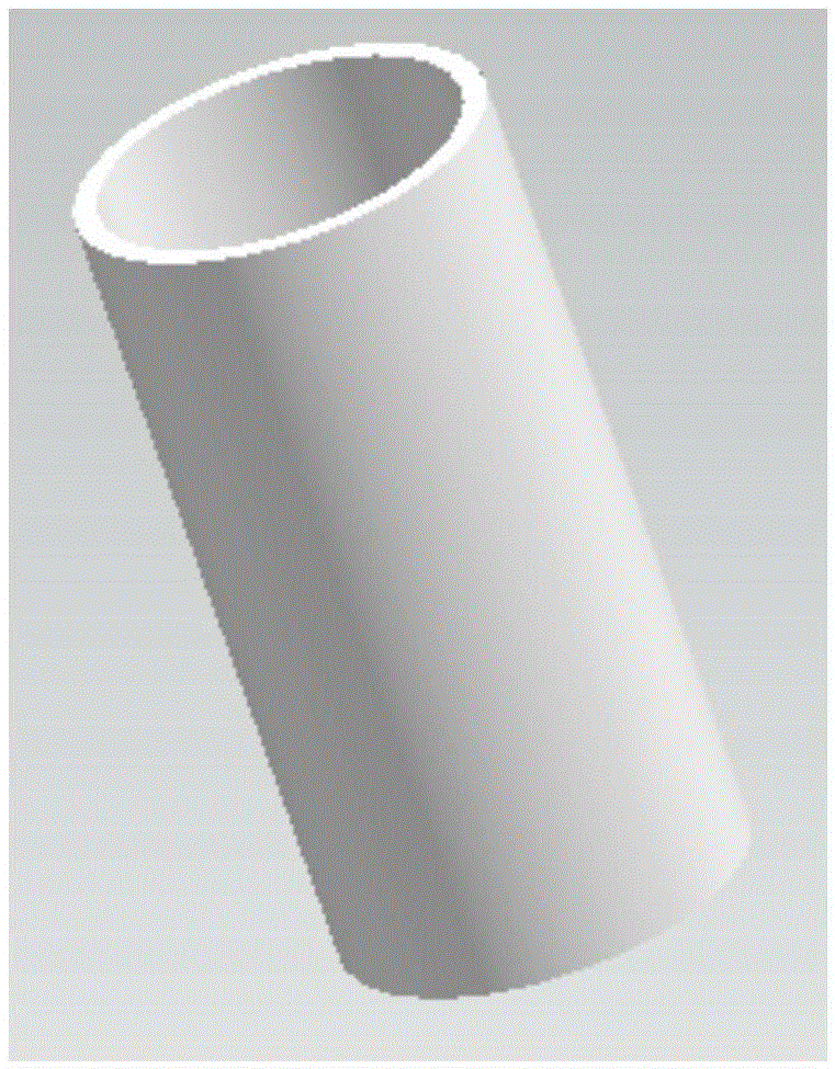 A kind of nano-silver diatomite antibacterial filter element and preparation method thereof