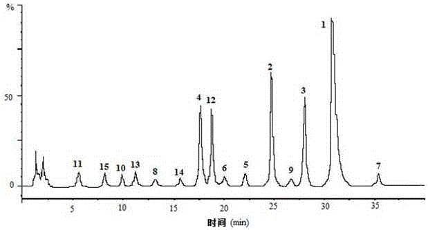 Traditional Chinese medicine extract and composition capable of resisting cerebral ischemia and preparation and application thereof