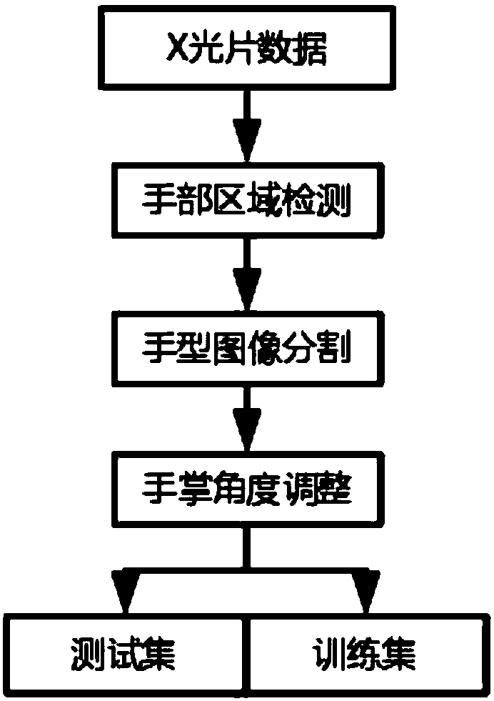 Image preprocessing method and system for reducing the interference features of the bone age evaluation model