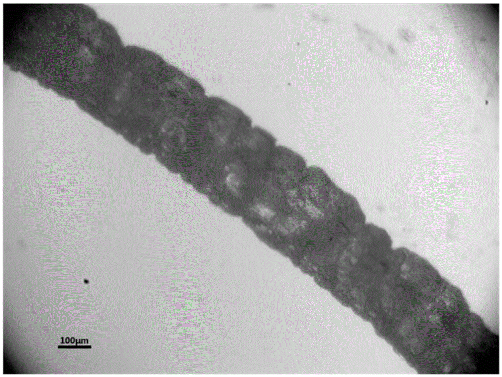 Preparation method of continuous SiO2 aerogel fibers