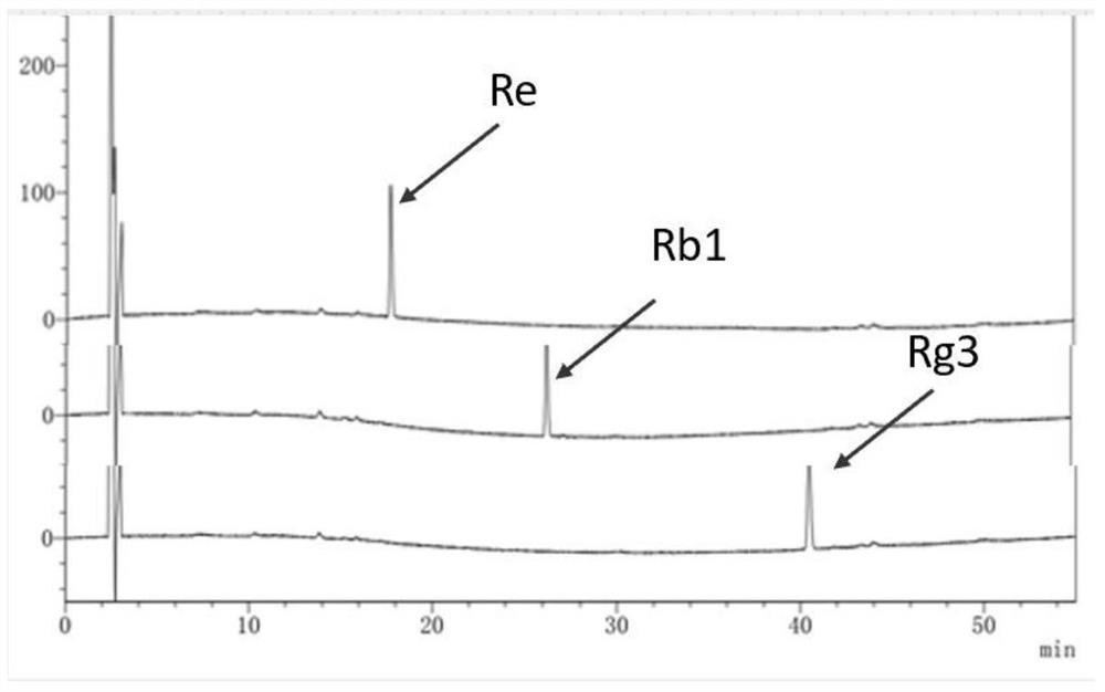 Processing method of black ginseng