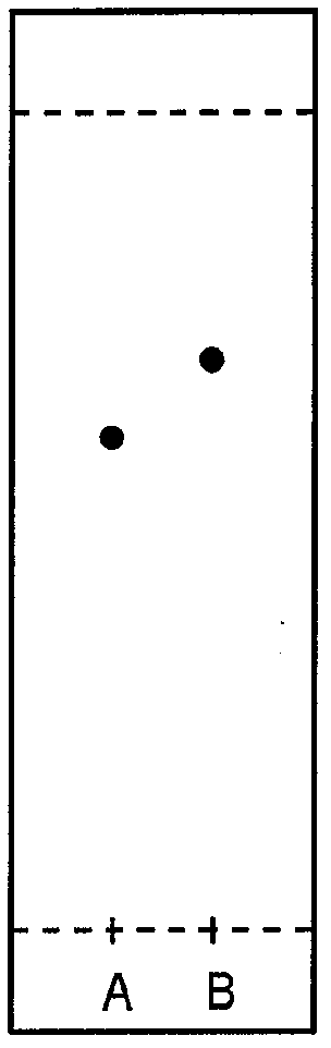 Compositions and methods for treatment of renin-angiotensin aldosterone system (raas)-related disorders