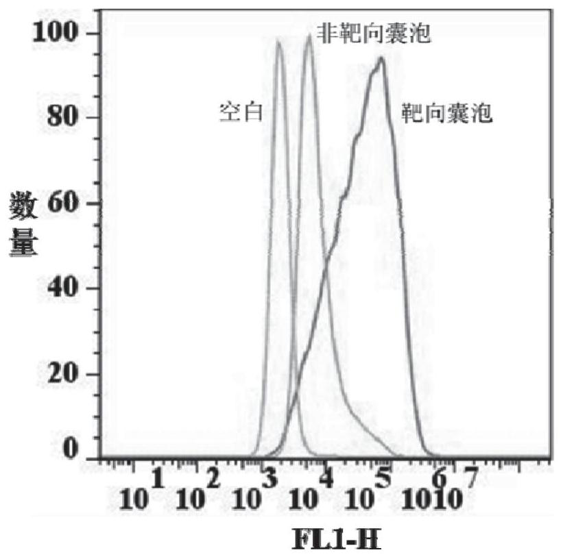 SiRNA delivery carrier and preparation method and application thereof