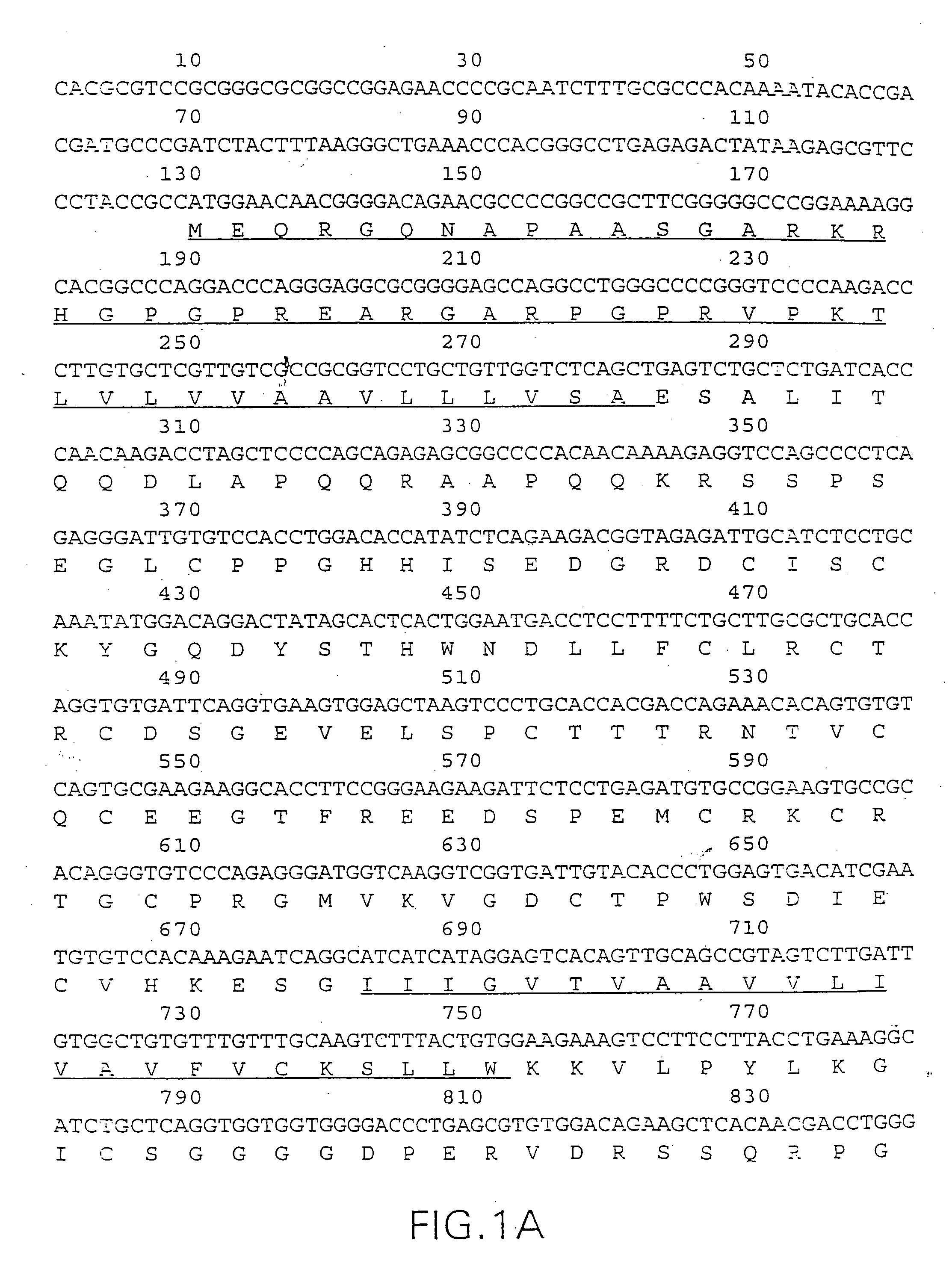 Death domain containing receptor 5